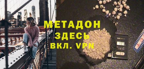 прущие грибы Алексеевка