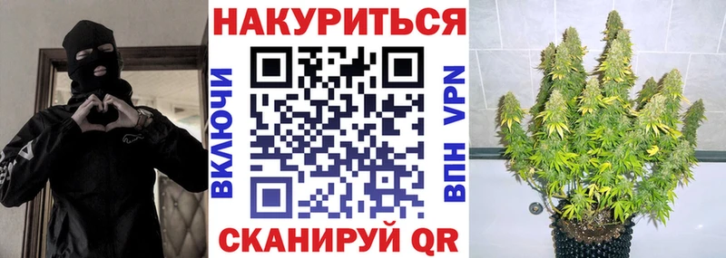 Конопля план  блэк спрут зеркало  Петров Вал 